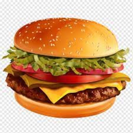 burgerfranchisemaster.com